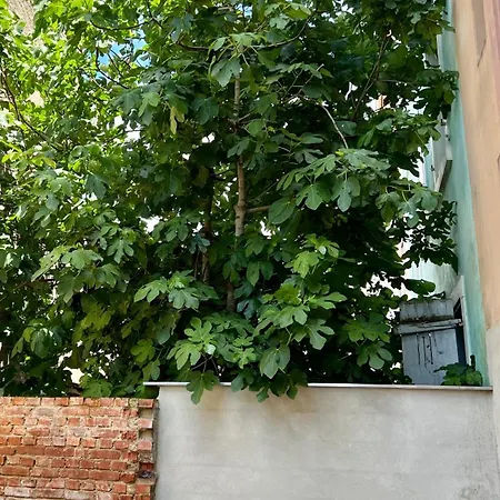 Rs-0 - Chaleureux 2 Pieces Au Rdc Equipe 1 A 4 Pers Apartament