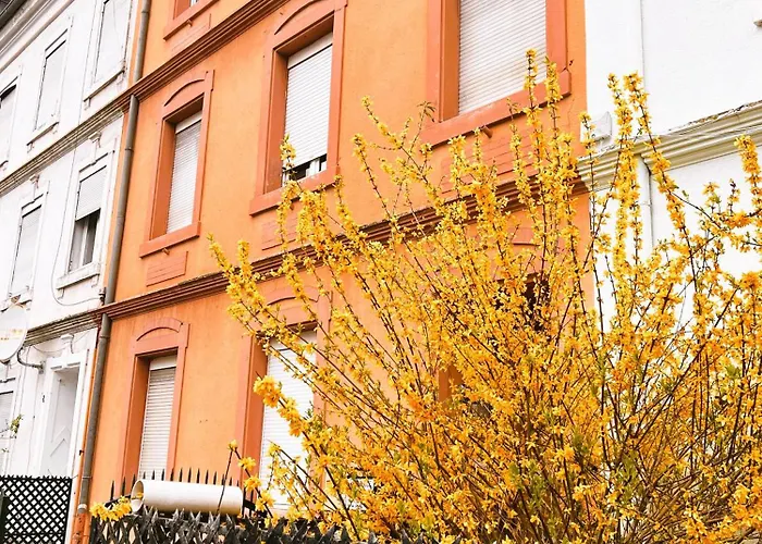 Appartement Rs-0 - F2 Au Rdc équipé Pour 1-4 Pers Mulhouse